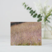Paarse gras en wilde bloemen briefkaart (Staand voorkant)