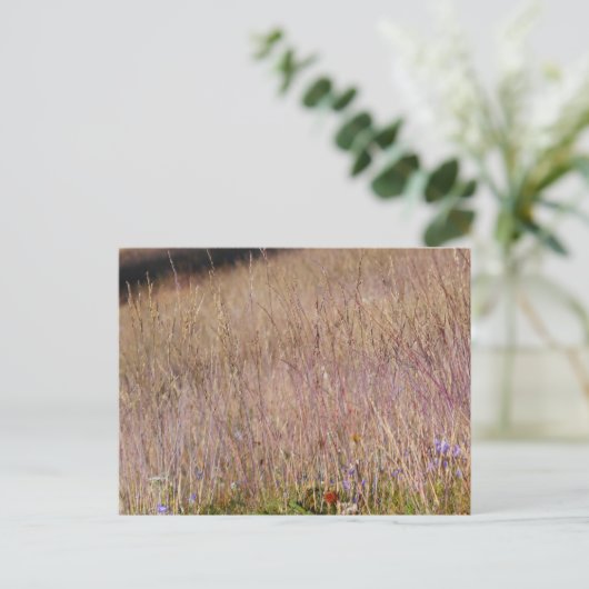 Paarse gras en wilde bloemen briefkaart (Staand voorkant)
