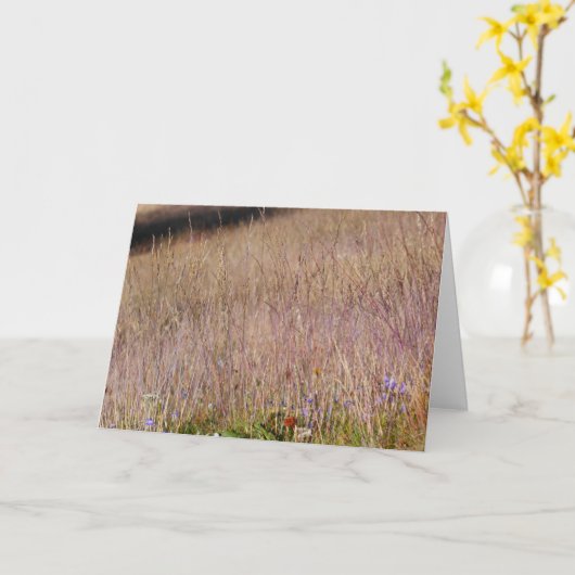 Paarse gras en wilde bloemen kaart (Gele Bloem)