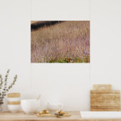 Paarse gras en wilde bloemen poster (Keuken)