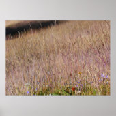Paarse gras en wilde bloemen poster (Voorkant)