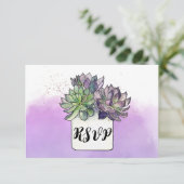 Paarse groene cactus vetplant RSVP (Staand voorkant)