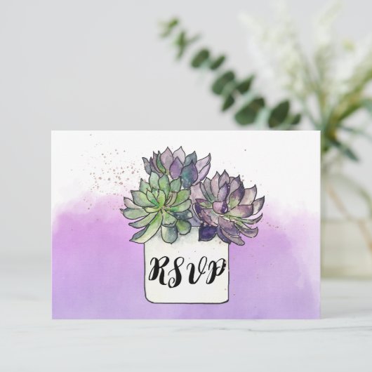 Paarse groene cactus vetplant RSVP (Staand voorkant)