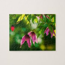 Paarse groene rode planten bloemen groen