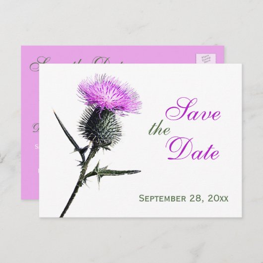 Paarse groene witte distel Save the Date Briefkaar Aankondigingskaart (Voorkant / Achterkant)