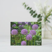 Paarse groep Allium bloemen Dank je wel Briefkaart (Staand voorkant)