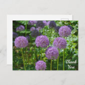 Paarse groep Allium bloemen Dank je wel Briefkaart (Voorkant / Achterkant)