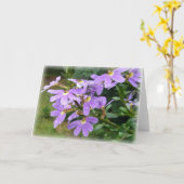 Paarse Gunst Kaart (Gele Bloem)
