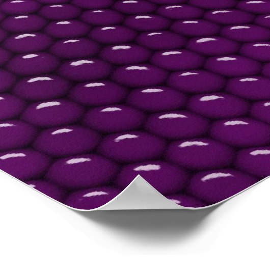 Paarse hageschaald Poster Afdrukken (Hoek)