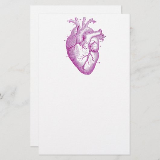 Paarse hartanatomie briefpapier (Voorkant / Achterkant)