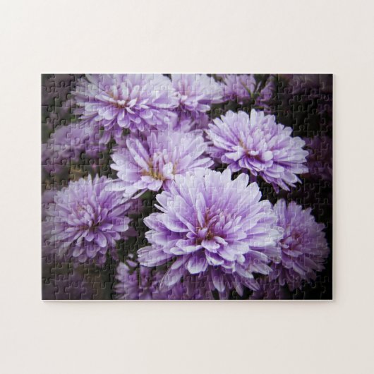 Paarse Haze Chrysanthema Legpuzzel (Horizontaal)