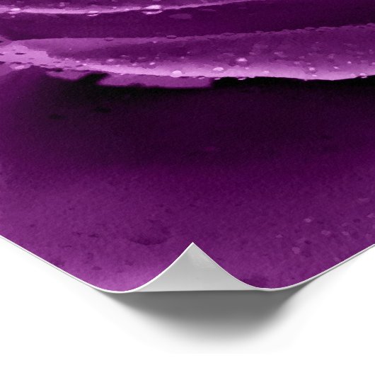 Paarse Haze Poster (Hoek)