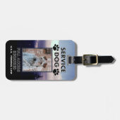 Paarse Haze Service Dog Foto ID Bagagelabel (Voorkant horizontaal)