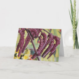 Paarse hazelnoot in de lente feestdagen kaart