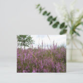 Paarse Heath Flowers Landscape DIY Briefkaart (Staand voorkant)