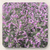  Paarse Heather Floral Bier Onderzetter (Voorkant)