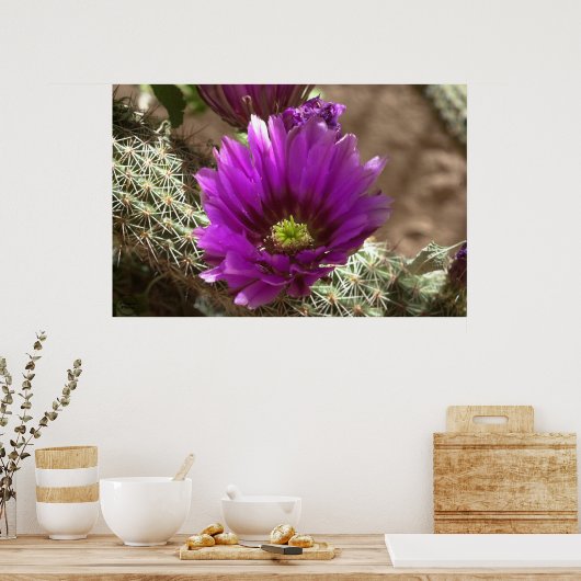 Paarse Hedegel Poster (Keuken)