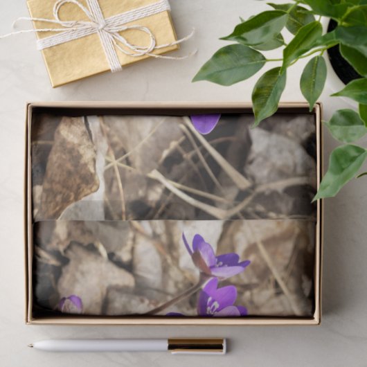 Paarse Hepatica Flowers Tissuepapier (Geschenk)