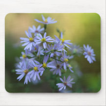 Paarse herfst Asters Floral Wildflower Mousepad