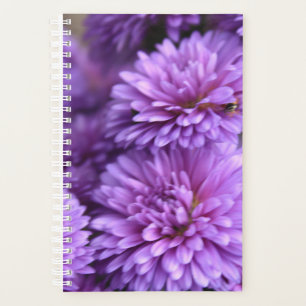 Paarse Herfst Mum Petal Foto Planner