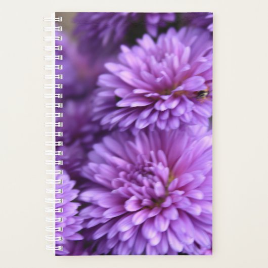 Paarse Herfst Mum Petal Foto Planner (Voorkant)