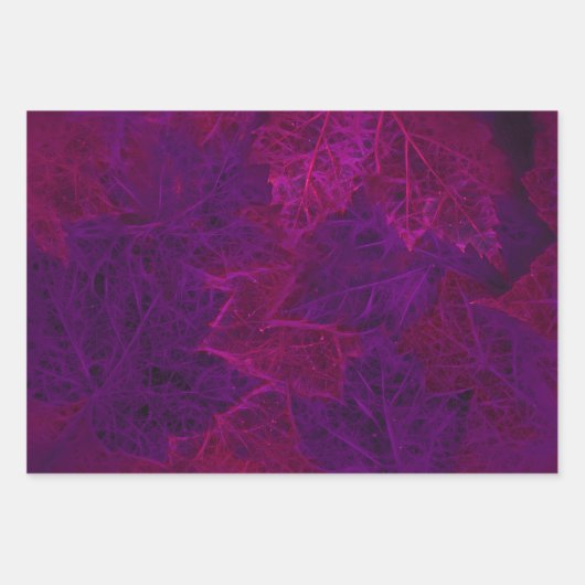 Paarse herfst roze neon Dark Maple Leaves Inpakpapier Vel (Voorkant 3)