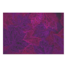 Paarse herfst roze neon Dark Maple Leaves