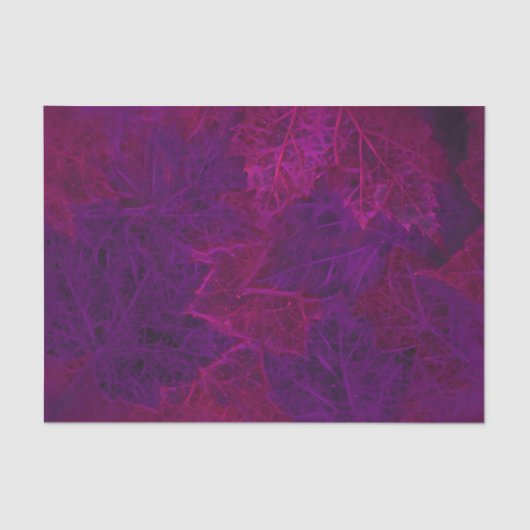 Paarse herfst roze neon Dark Maple Leaves Tissuepapier (Voorkant)