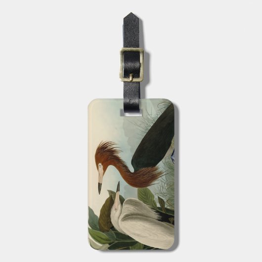 Paarse Heron Audubon-vogelschilderij Bagagelabel (Voorkant verticaal)