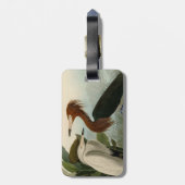 Paarse Heron Audubon-vogelschilderij Bagagelabel (Achterkant verticaal)