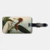 Paarse Heron Audubon-vogelschilderij Bagagelabel (Achterkant horizontaal)