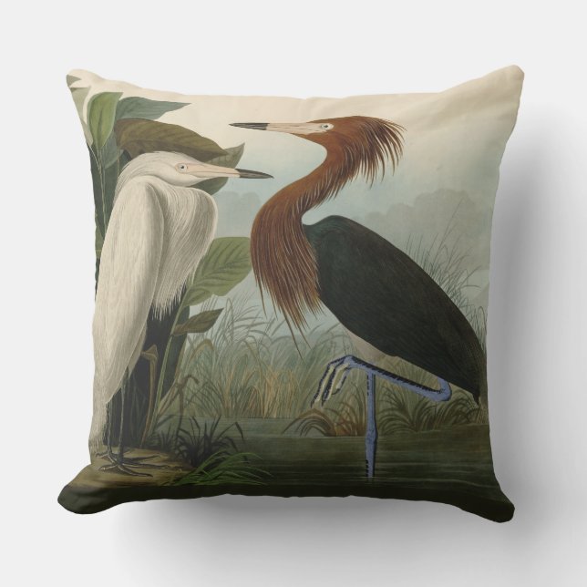 Paarse Heron Audubon-vogelschilderij Buitenkussen (Voorkant)