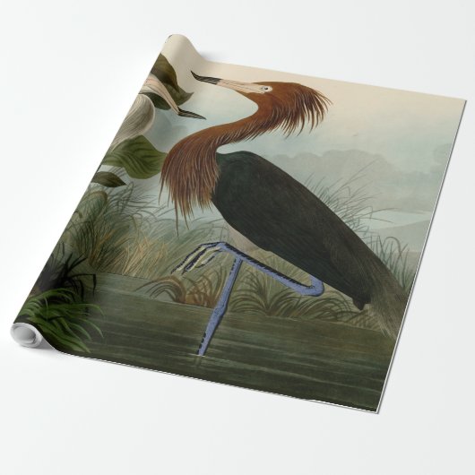 Paarse Heron Audubon-vogelschilderij Cadeaupapier (Uitgerold)
