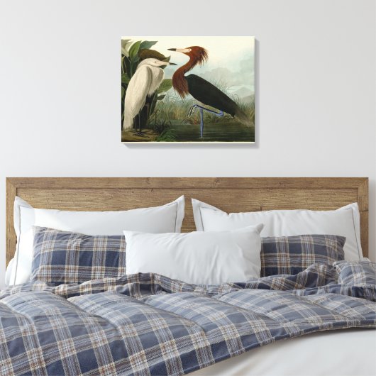 Paarse Heron Audubon-vogelschilderij Canvas Afdruk (Insitu (Slaapkamer))