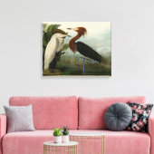 Paarse Heron Audubon-vogelschilderij Canvas Afdruk (Insitu (Woonkamer))