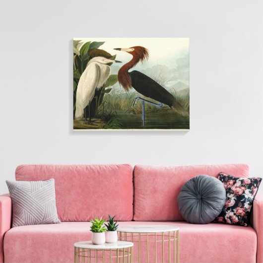 Paarse Heron Audubon-vogelschilderij Canvas Afdruk (Insitu (Woonkamer))