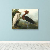 Paarse Heron Audubon-vogelschilderij Canvas Afdruk (Insitu (Houten vloer))