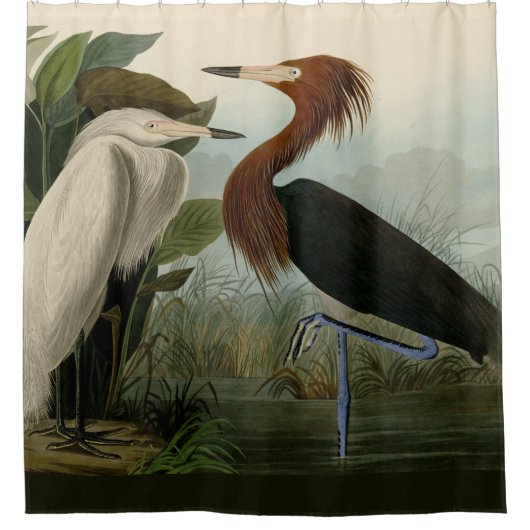 Paarse Heron Audubon-vogelschilderij Douchegordijn (Voorkant)