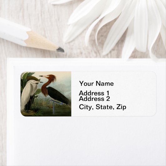 Paarse Heron Audubon-vogelschilderij Etiket (Insitu)