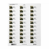 Paarse Heron Audubon-vogelschilderij Etiket (Full Sheet)