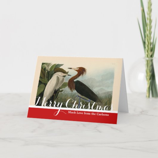 Paarse Heron Audubon-vogelschilderij Feestdagen Kaart (Voorkant)