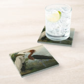 Paarse Heron Audubon-vogelschilderij Glazen Onderzetter (Schuin)