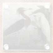 Paarse Heron Audubon-vogelschilderij Glazen Onderzetter (Achterkant)