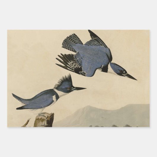 Paarse Heron Audubon-vogelschilderij Inpakpapier Vel (Voorkant 2)