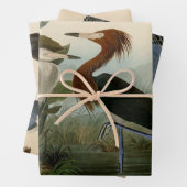 Paarse Heron Audubon-vogelschilderij Inpakpapier Vel (In situ)