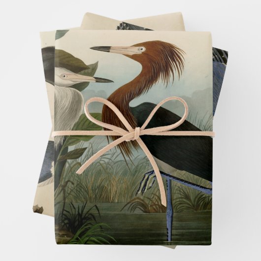 Paarse Heron Audubon-vogelschilderij Inpakpapier Vel (In situ)