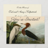 Paarse Heron Audubon-vogelschilderij Kaart (Voorkant / Achterkant)