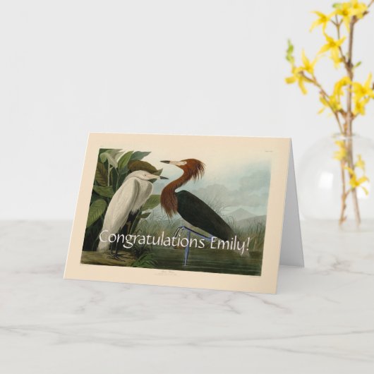 Paarse Heron Audubon-vogelschilderij Kaart (Gele Bloem)