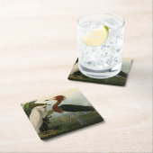 Paarse Heron Audubon-vogelschilderij Kartonnen Onderzetters (Insitu)