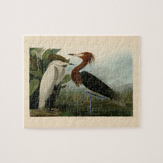 Paarse Heron Audubon-vogelschilderij Legpuzzel (Horizontaal)